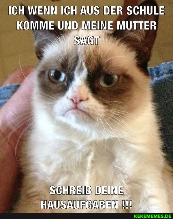 ICH WENN ICH AUS DER SCHULE KOMME UND MEINE MUTTER SAGT
SCHREIB DEINE HAUSAUFGABEN