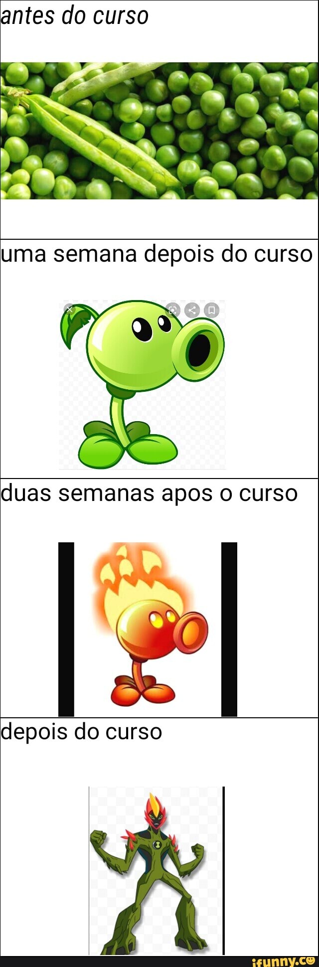 antes do curso
duas semanas apos o curso