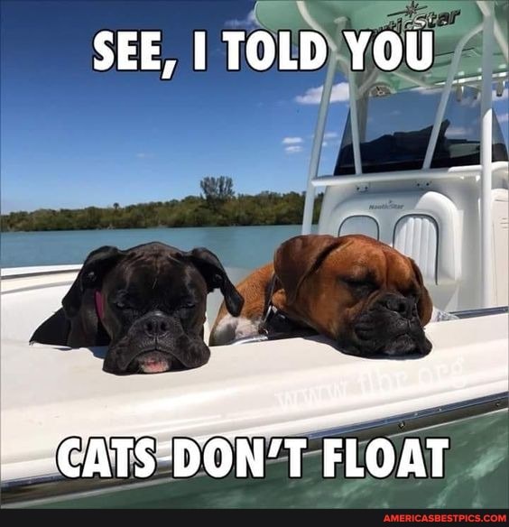 SEE, TOLD YOU
ERTSDO FLOAT FLOAT FLOAT