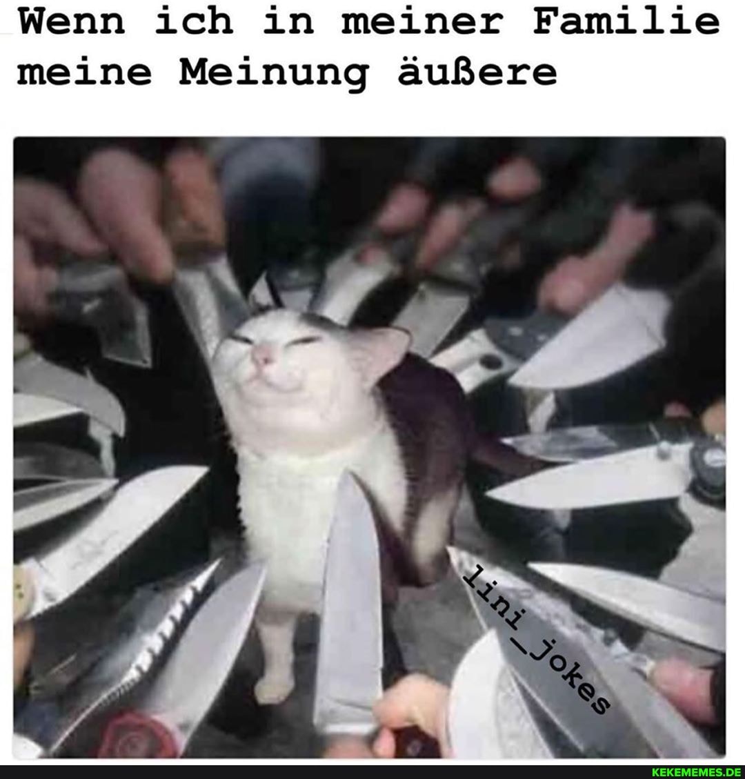 Wenn ich in meiner Familie meine Meinung äußere
