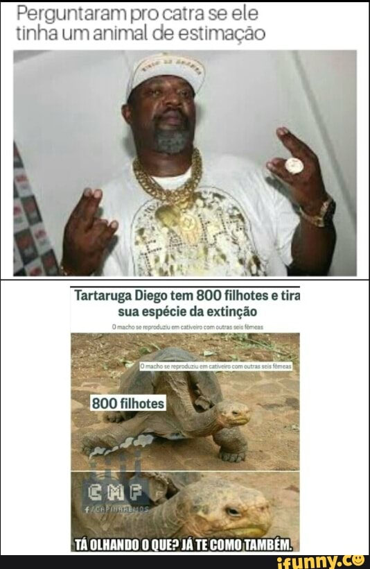 I
Tartaruga Diego tem 800 filhotes e tira