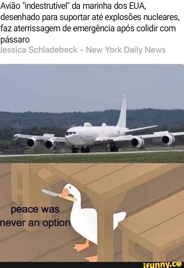 Avião "indestrutível" da marinha dos EUA, desenhado para suportar até explosões nucleares, faz aterrissagem de emergência após colidir com
pássaro essica Schladebeck - New York Daily News
was
never am