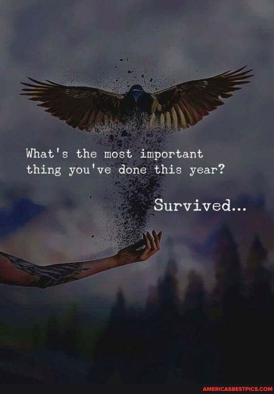 What's the most eiportant thing you've done this year?
Survived...