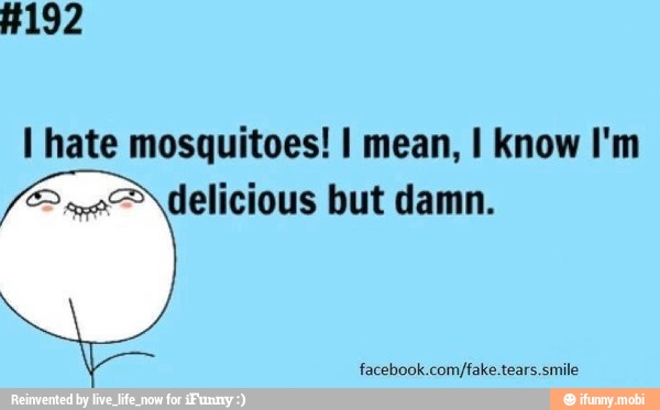 I hate mosquitoes! I mean, I know I'm
® oo delicious but damn.
facebook.com/fake.tears.smile