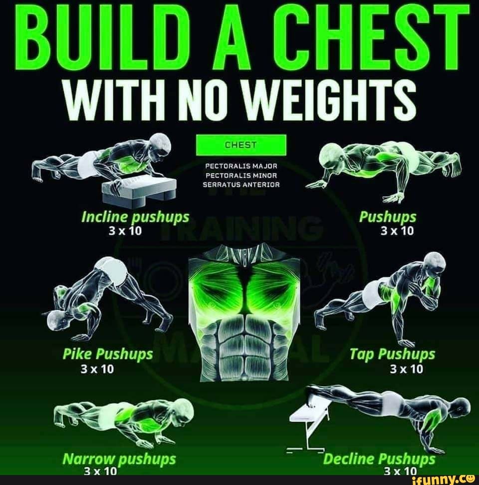 BUILD A CHEST WITH NO WEIGHTS CHEST CHEST PECTORALIS MAJOR PECTORALIS ...