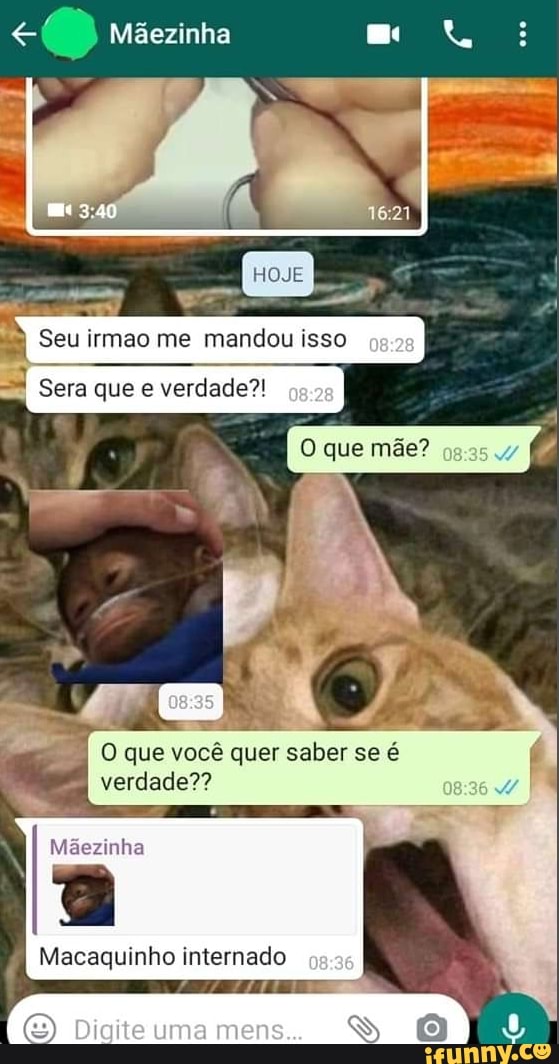Máezinha
HOJE
Seu irmao me mandou isso
Sera que e verdade?!
O que mãe?
O que você quer saber se é
verdade??
Macaquinho internado
Dioite uma