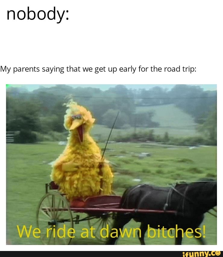 nobody:
My parents saying that we get up early for the road trip:
We ride at dawn bitches!