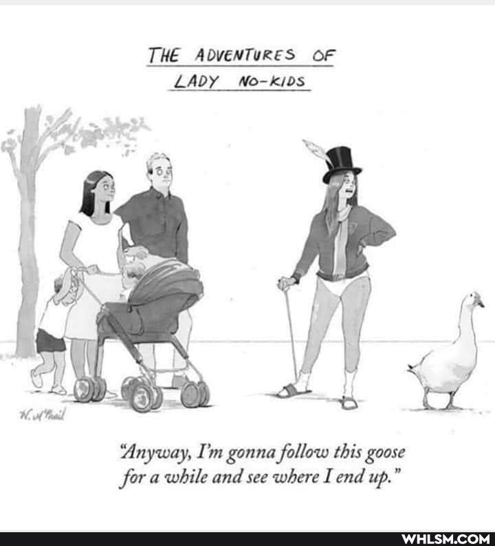 THE ADVENTURES OF LADY No-kids_
'Anyway, I'm gonna follow this goose
for a while and see where I end up."
