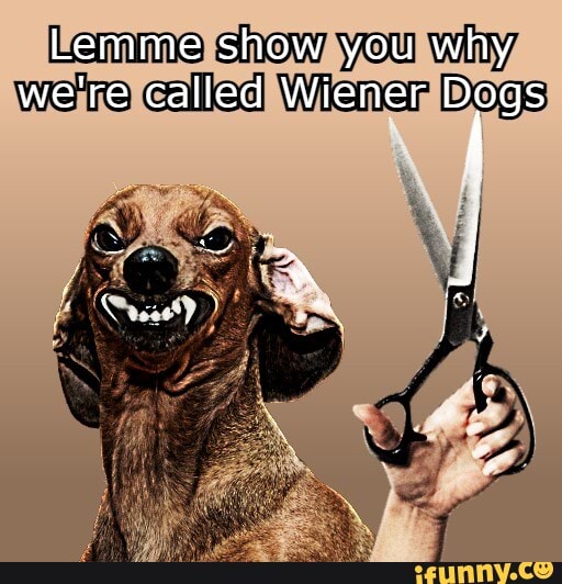 Lemme show you why we're called Wiener Dogs