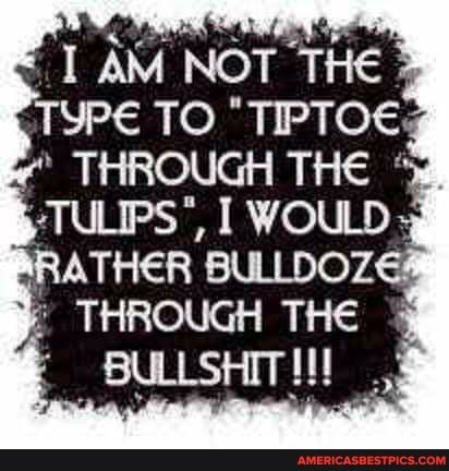 NOT TO "TIPTOE:
THROUGH THE WOULD SRaTHER THROUGH THE BULLSHIT II!