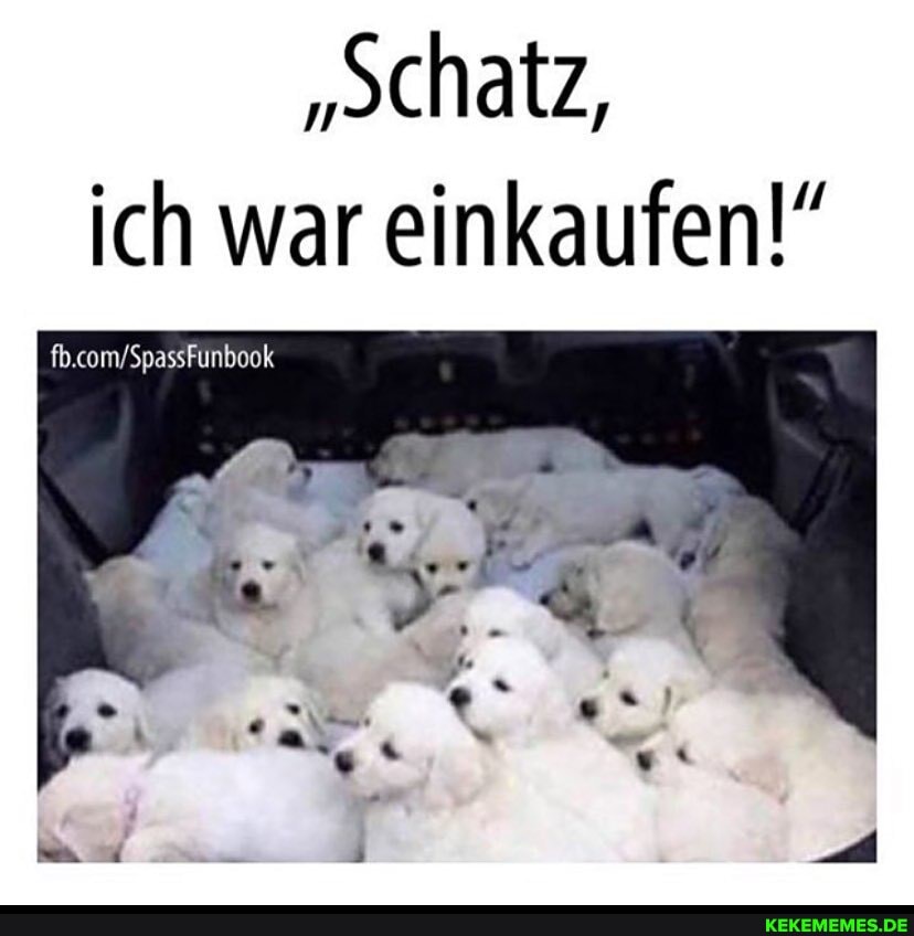 "schatz, ich war einkaufen!"