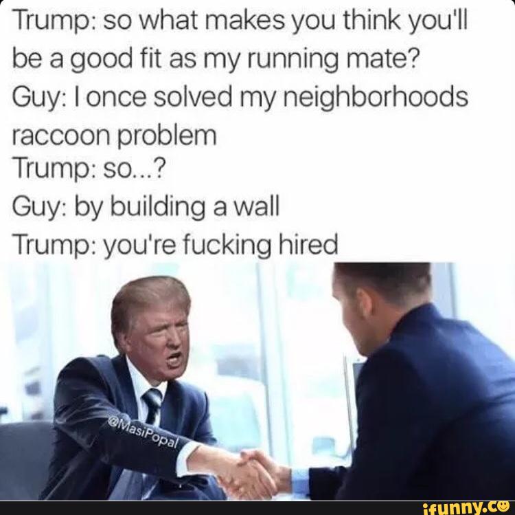 'Trump: so what makes you think you'll
be a good fit as my running mate?
Guy: lonce solved my neighborhoods
raccoon problem
Trump: so...?
Guy: by building a wall
Trump: you're fucking hired
