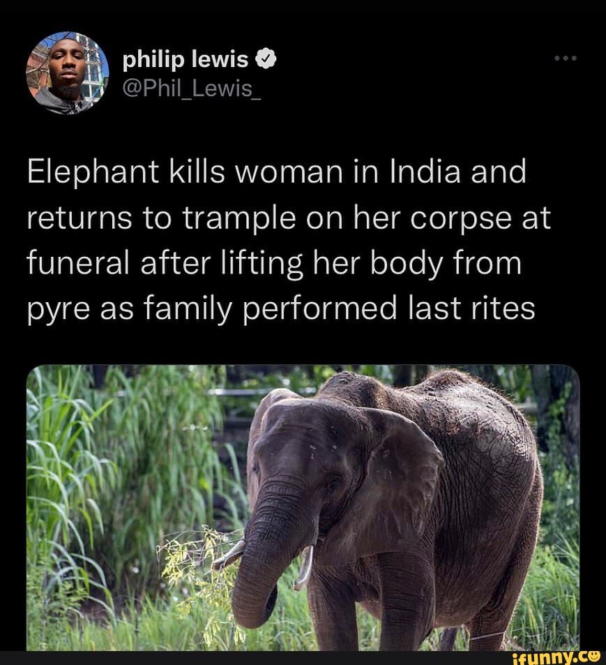 Elephant kills woman in India and returns to trample on her corpse at