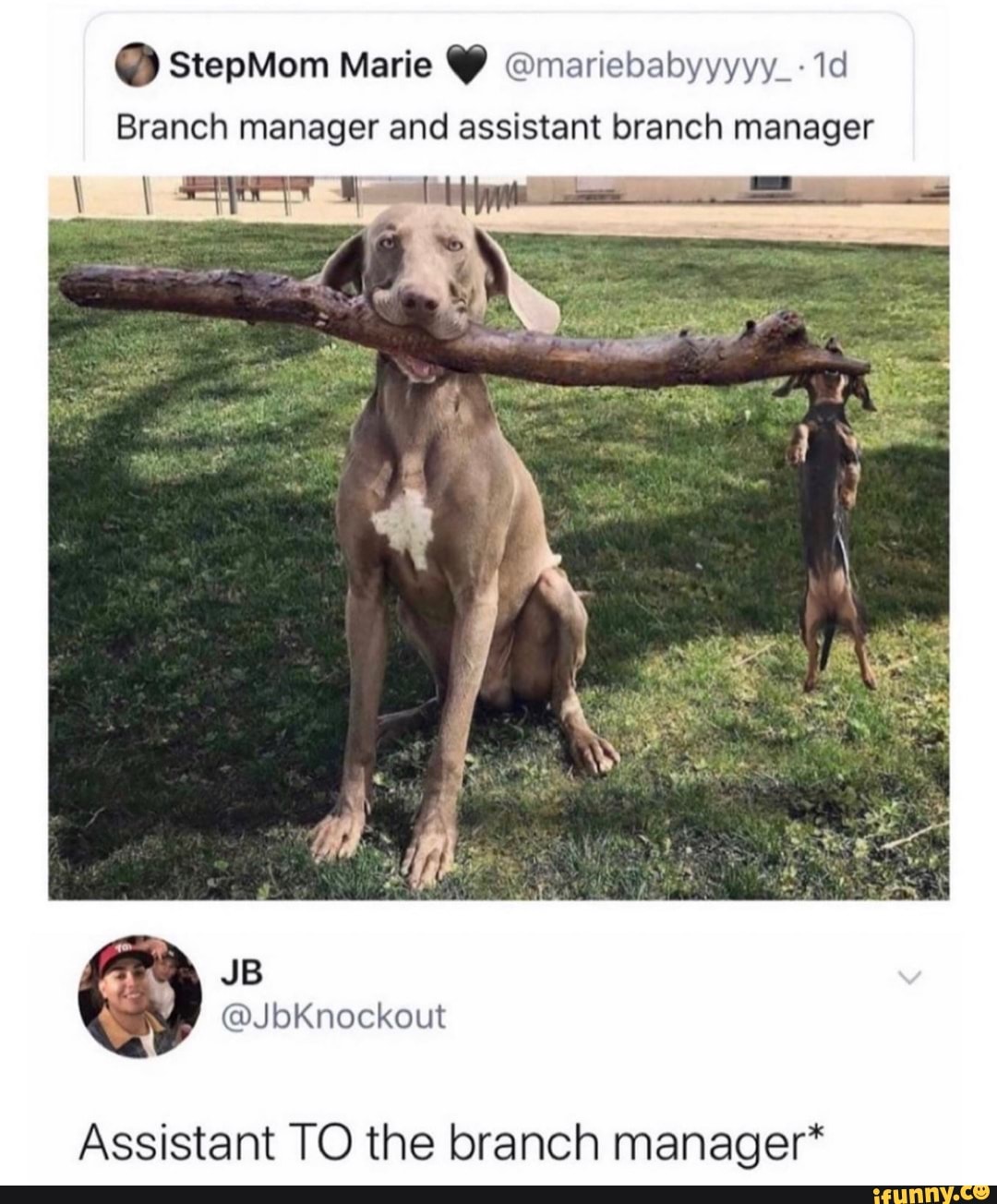 Assistant TO the branch manager*
