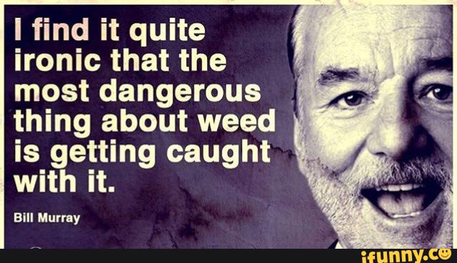 Ifind It Quite Ironic That The Most Dangerous Thing About Weed Is Getting Caught With It Bill Murray