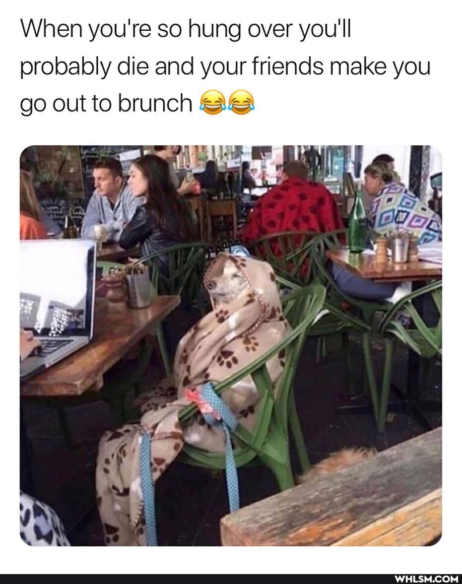 When you're so hung over you'll probably die and your friends make you go out to brunch Be