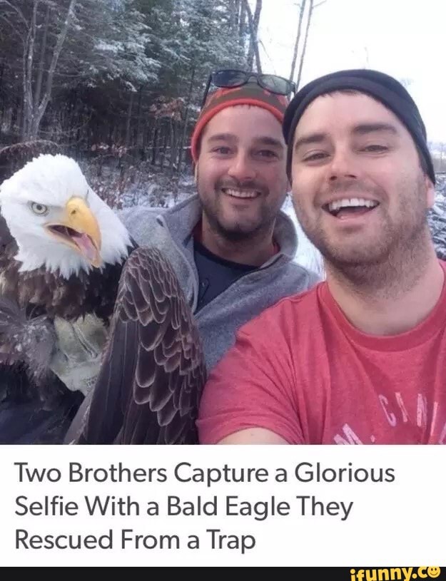 Two Brothers Capture a Glorious
Selfie With a Bald Eagle They
Rescued From a Trap