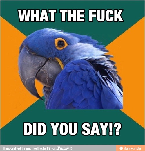 WHAT THE FUCK
DID YOU SAY!?