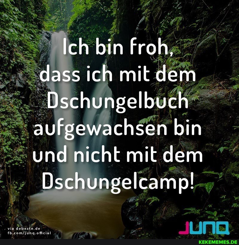 Ich bin froh, dass ich mit dem
Dschungelbuch aufgewachsen bin und nicht mit dem
Dschungelcamp!