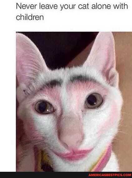 Never leave your cat alone with children