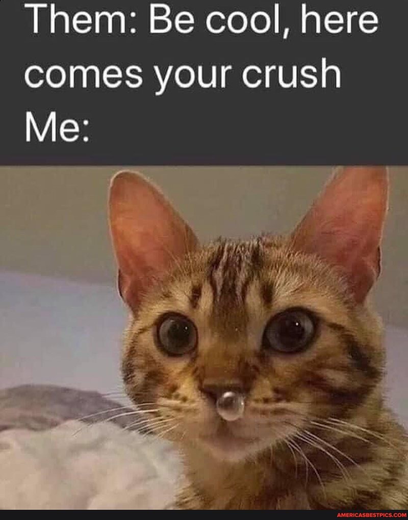 Them: Be cool, here
comes your crush
Me: