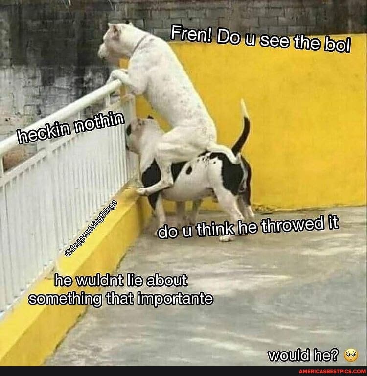 Do u see the bol
do u think: he throwed it
he wuldnt about that iiniportante