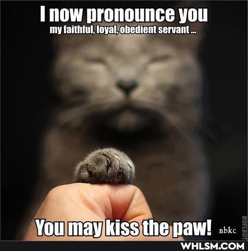 [now prongunce you
my faithful, obedient servant...
Vou may kiec tha naw