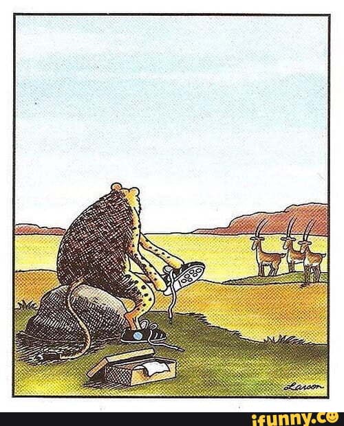 Far Side Memes. Best Collection Of Funny Far Side Pictures On Ifunny