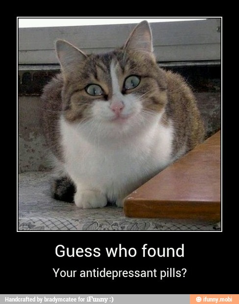 Guess who found
Your antidepressant pills? - Guess who found
Your antidepressant pills?