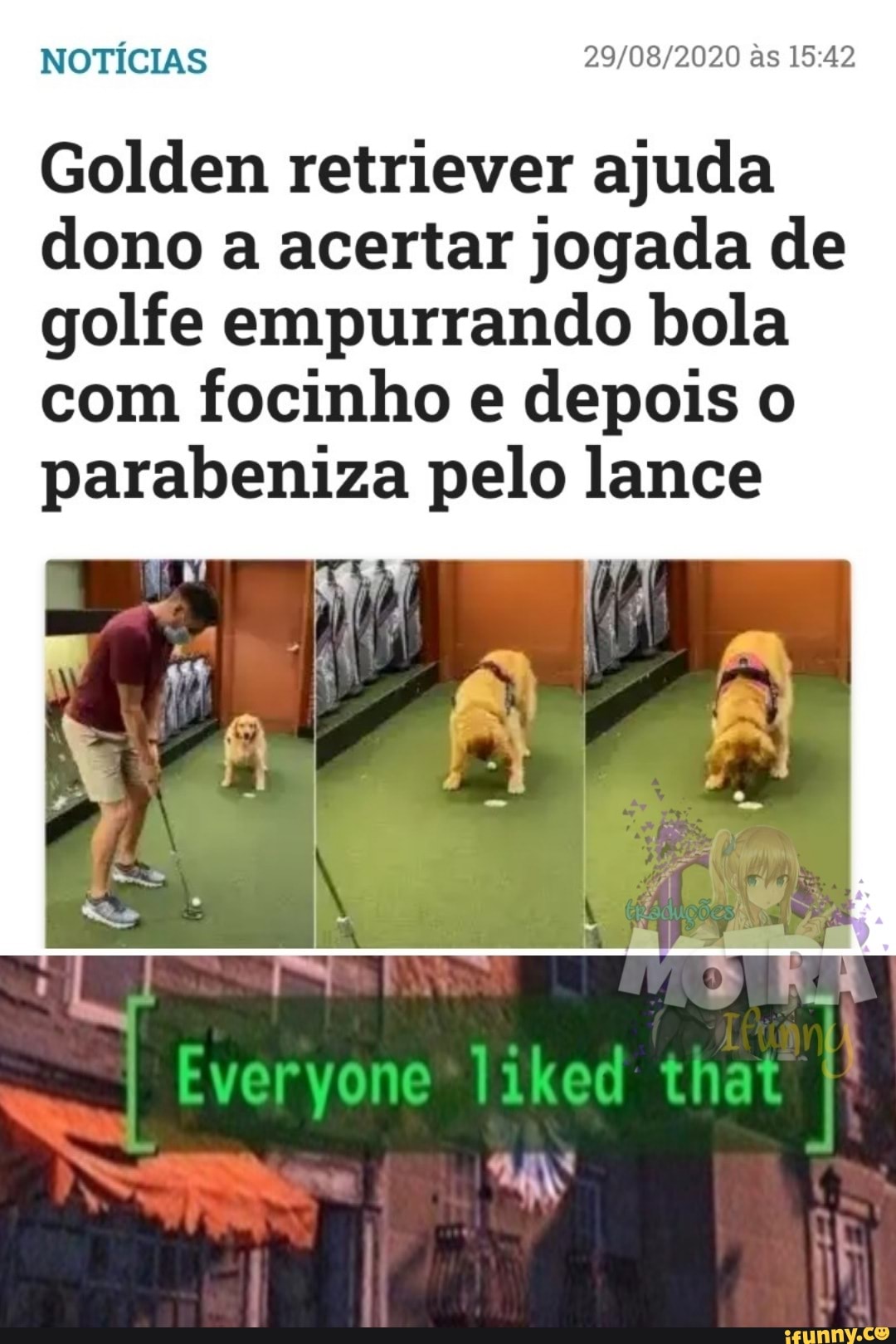 NOTÍCIAS as
Golden retriever ajuda dono a acertar jogada de golfe empurrando bola com focinho e depois o parabeniza pelo lance
La