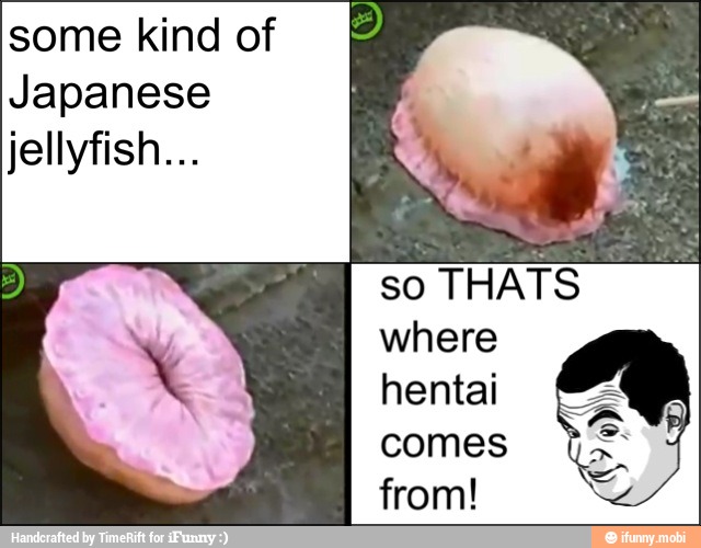 some kind of
Japanese
jellyfish...
where
hentai
comes
from!