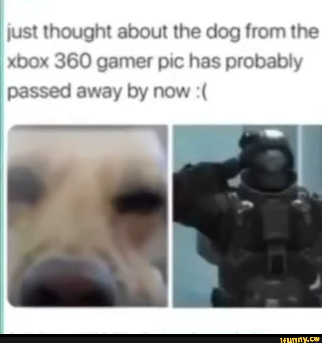 Just Thought About The Dog From The Xbox 360 Gamer Pic Has Probably Passed Away By Now Un