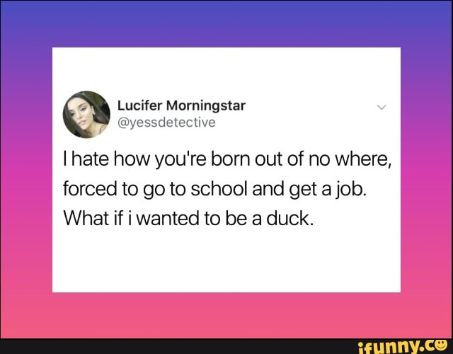 Lucifer Morningstar
@yessdetective
I hate how you're born out of no where,
forced to go to school and get a job.
What if i wanted to be a duck.