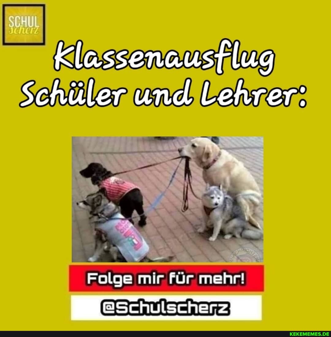 Folge mir. für mehr!
@Schulscherz)