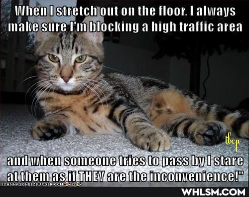 When stretch on the floor. always make sure Blacking a high traffic area
someouc.te
hass hy