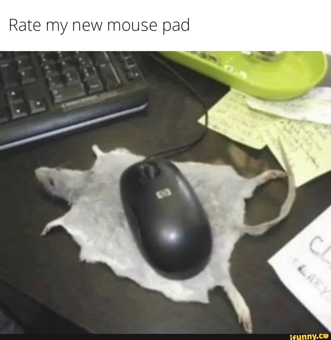 Mousepad memes. Best Collection of funny Mousepad pictures on iFunny