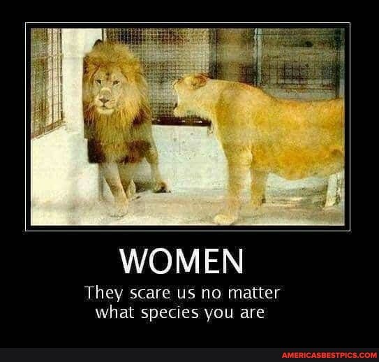 WOMEN
They scare us no matter what species you are