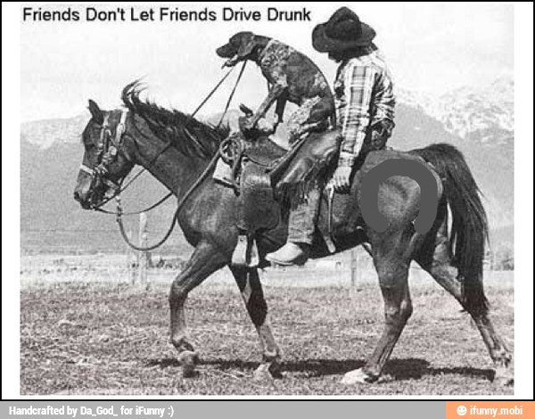 Friends Don't Let Friends Drive Drunk