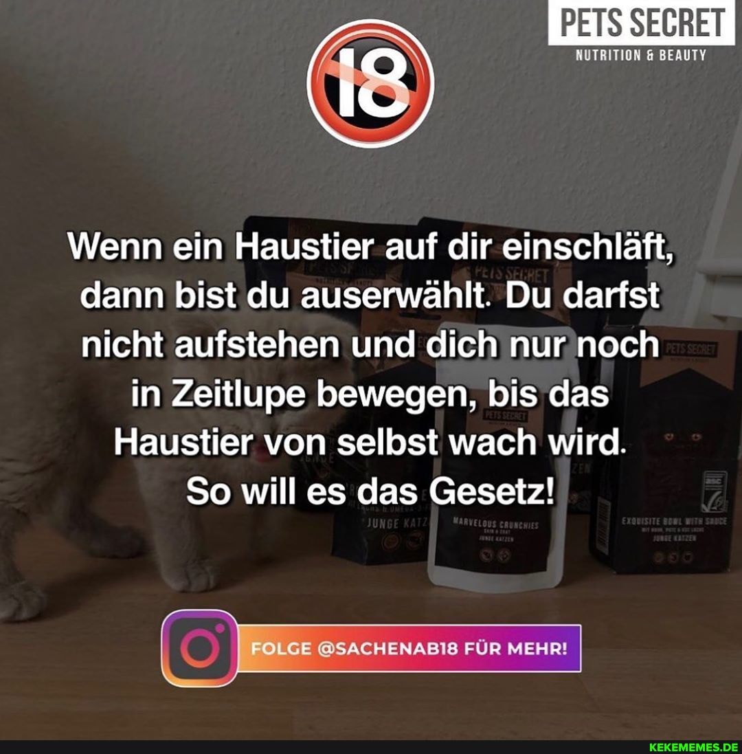 PETS SECRET
NUTRITION BEAUTY
Wenn ein Haustier auf dir einschläft, dann bist du auserwählt. Du darfst nicht aufstehen und dich nur noch
in Zeitlupe bewegen, bis das
Haustier von selbst wach wird.
So will es das Gesetz!
FOLGE @SACHENABIS FÜR MEHR!