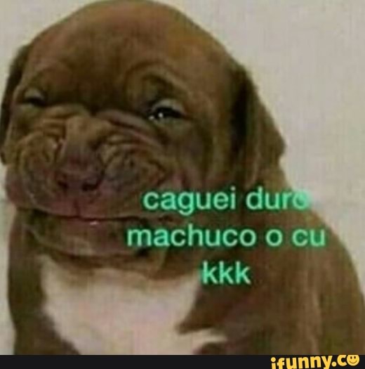 caguei du machuco cu
kkk