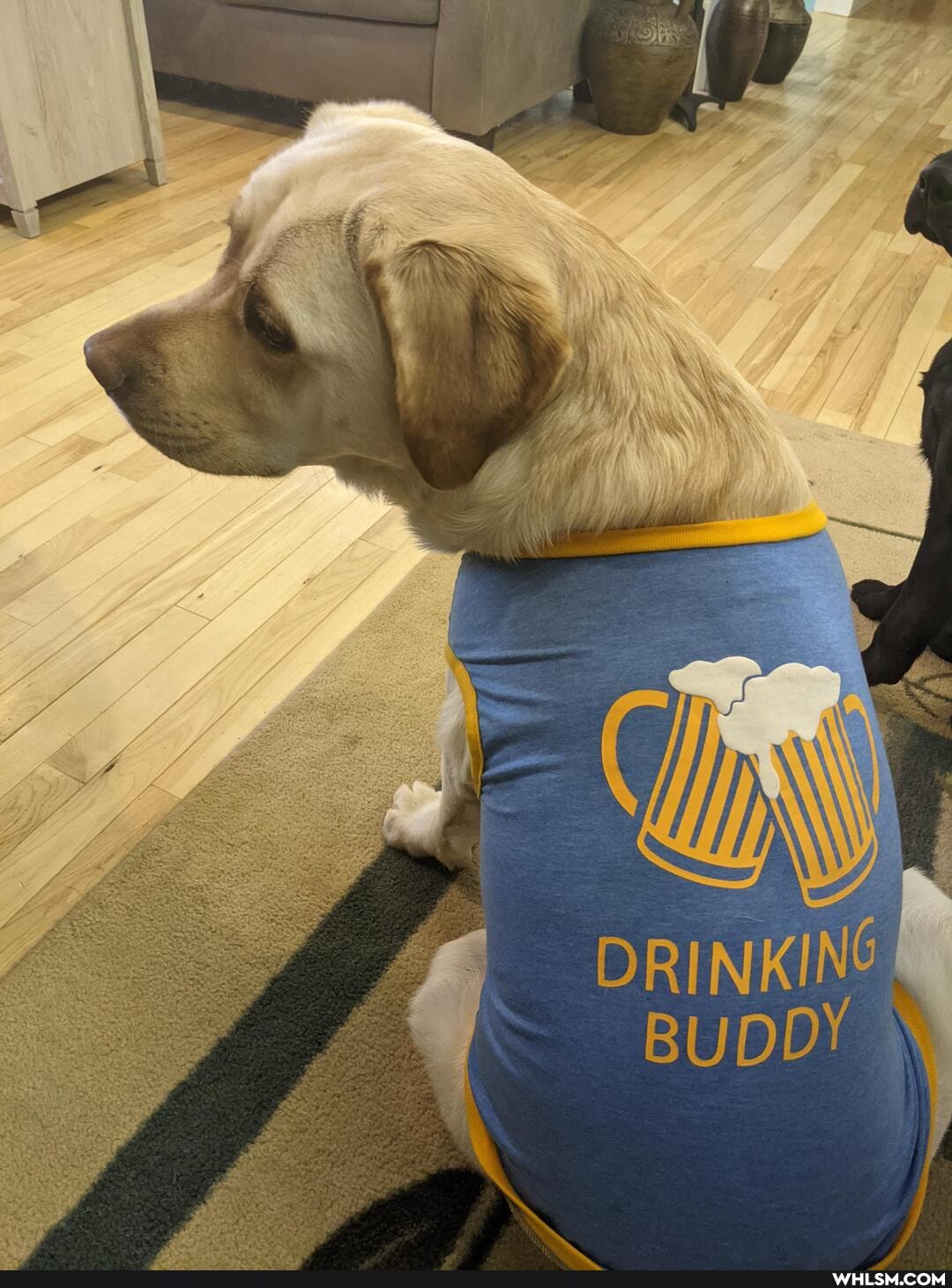 DRINKING BUDDY