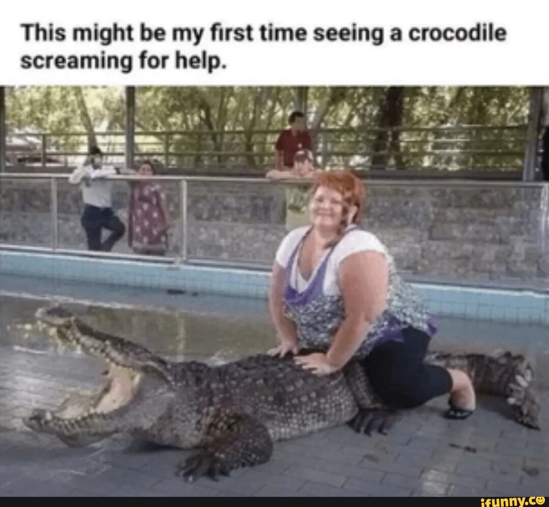 This might be my first time seeing a crocodile screaming for help. - iFunny
