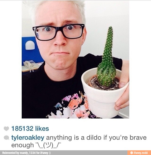 185132 likes
tyleroakley anything is a dildo if you're brave