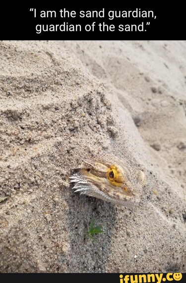 Lam The Sand Guardian, Guardian Of The Sand.