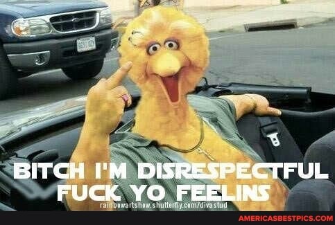 BITCH (M DISRESPECTFUL