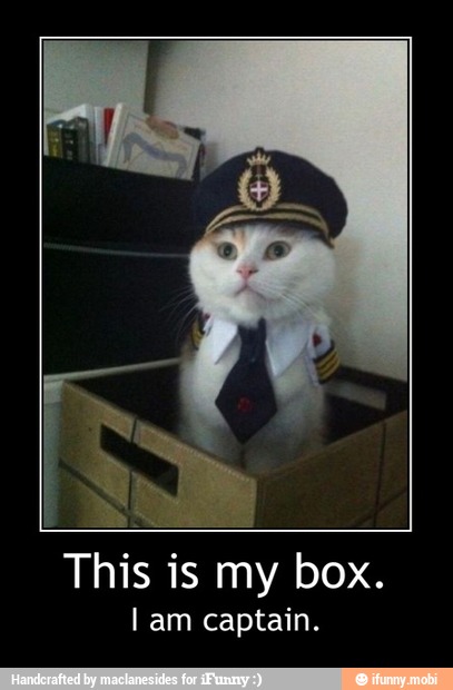 This is my box.
Lam captain. - This is my box.
I am captain.