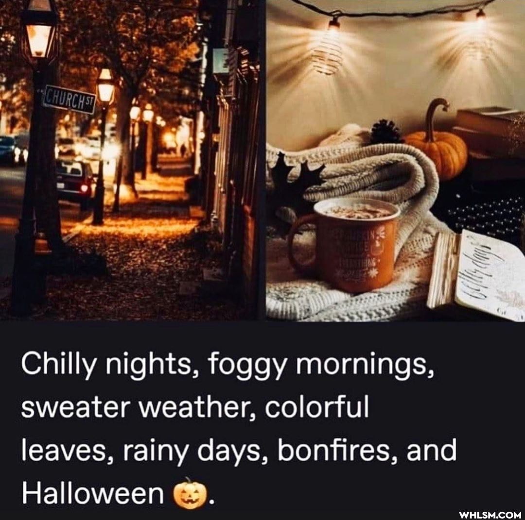 Chilly nights, foggy mornings, sweater weather, colorful leaves, rainy days, bonfires, and
Halloween