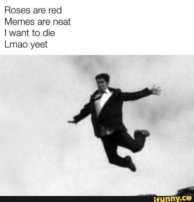 Picture memes C7lkkcnZ6 by SaucyCapybara )