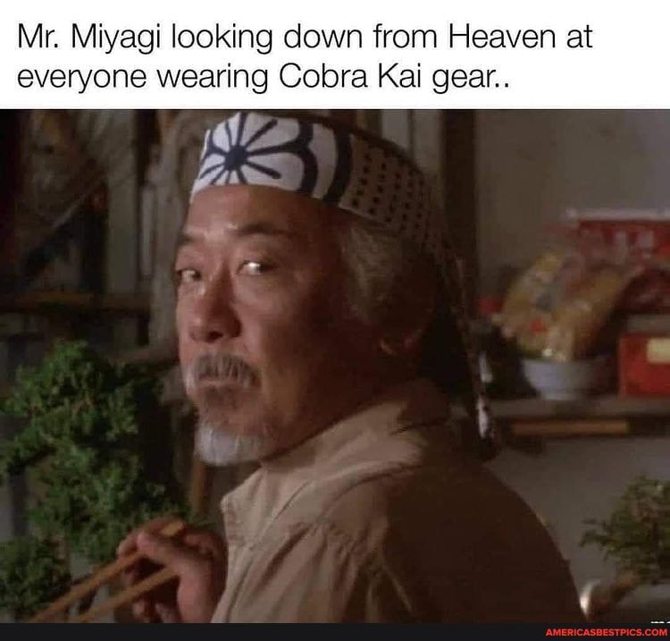 Mr. Miyagi looking down from Heaven at everyone wearing Cobra Kai gear ...