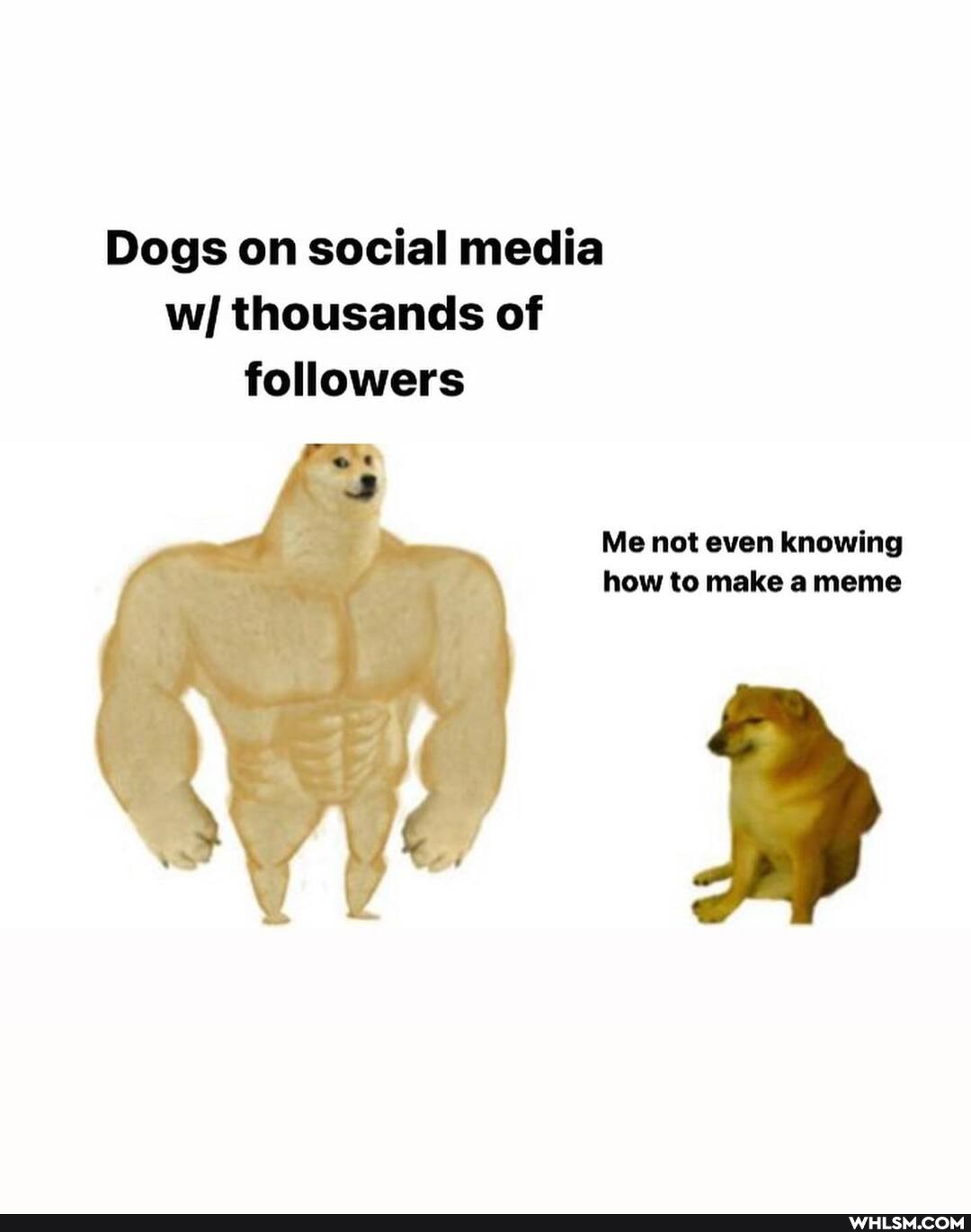 Dogs on social media w/ thousands of followers
Me not even knowing how to make a meme
